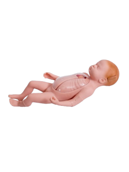 ADVANCED NEONATAL PERIPHERAL AND CENTRAL VEIN 